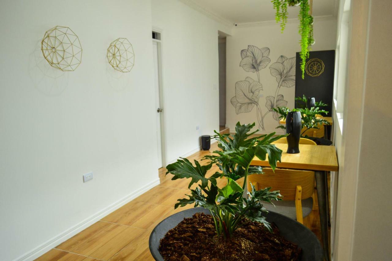 Three House Hostel Boutique 菲兰迪亚 外观 照片